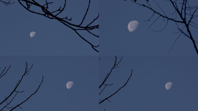 冬天的月亮 月儿弯弯照九州月儿弯弯