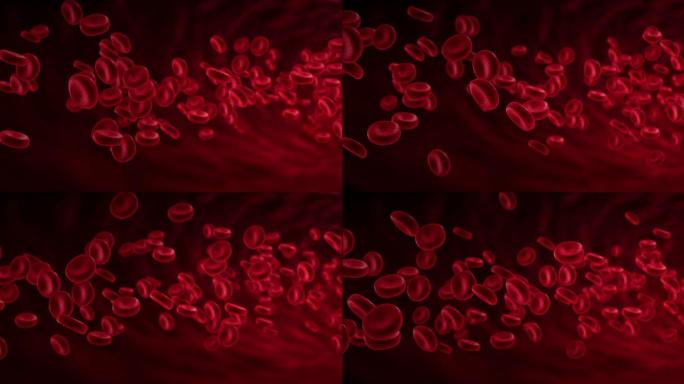 动脉中的红血球，在体内流动