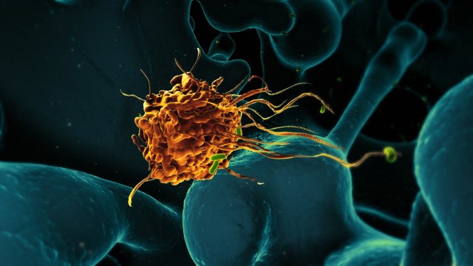 巨噬细胞免疫细胞动画
