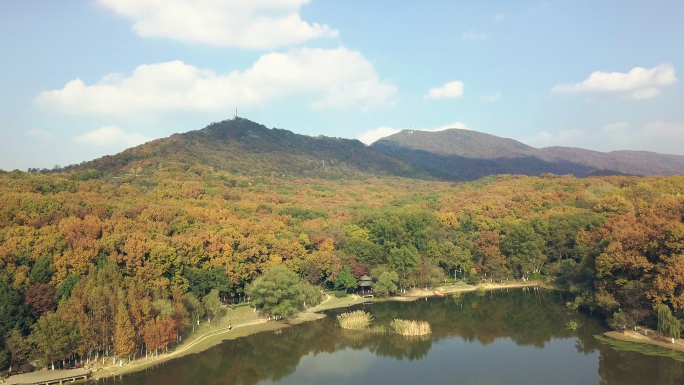 紫金山秋景航拍