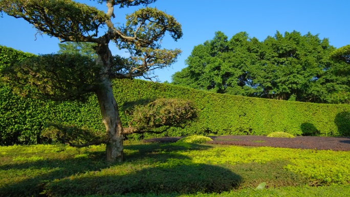 南宁南湖公园园艺雕塑造型