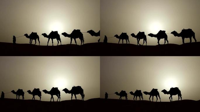 骆驼队伍一带一路丝绸之路空镜逆光