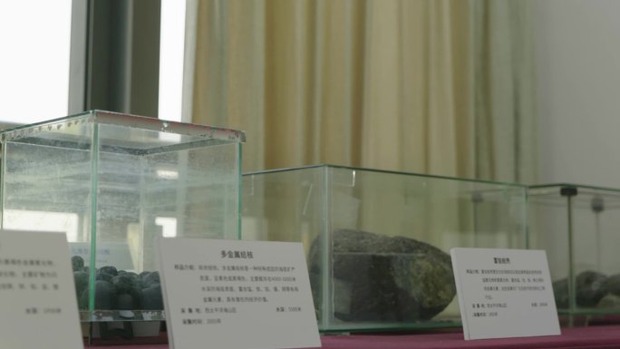 海洋资源海洋博物馆矿产矿物标本化石