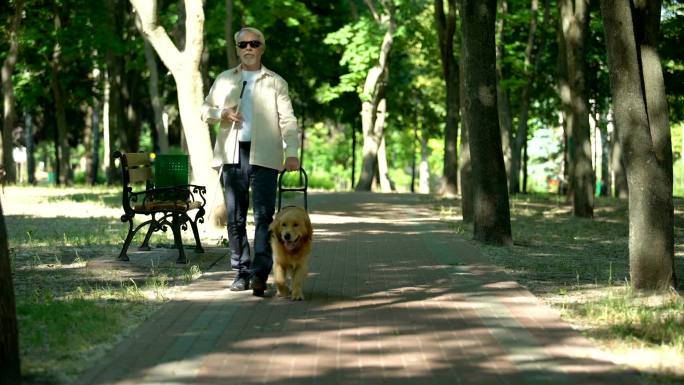 盲人老人带着导盲犬在公园散步