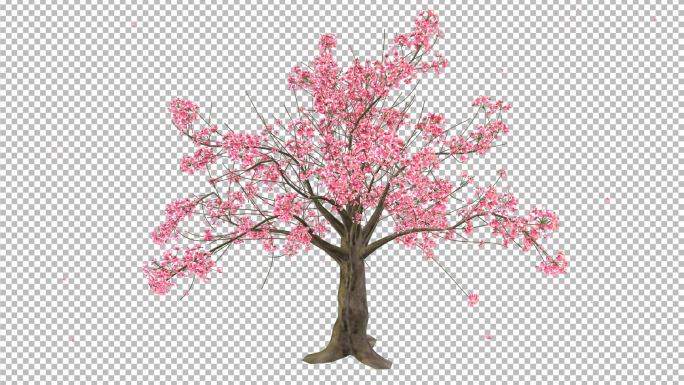 桃花树-带透明通道
