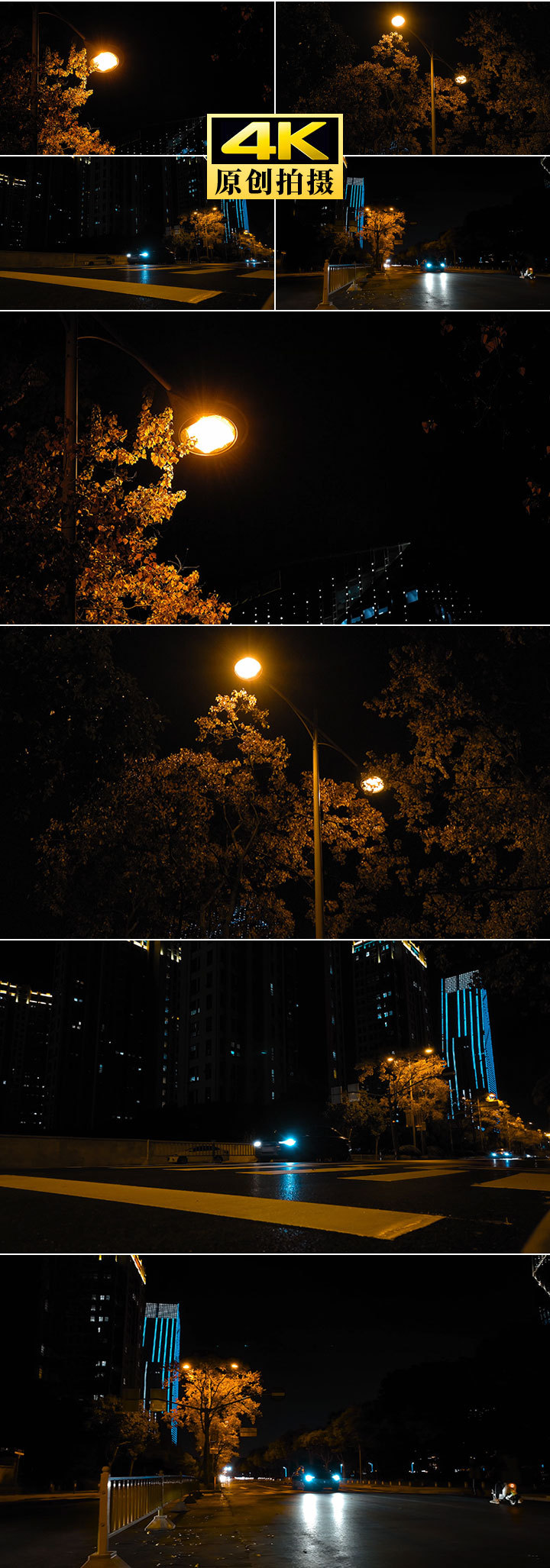 城市夜晚、马路、车辆、路灯、树叶