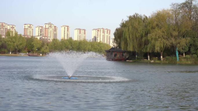 森林公园湖边湖畔风景