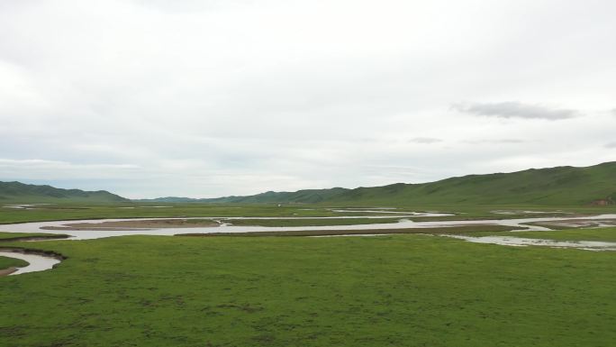川西高原阿坝漫泽塘湿地