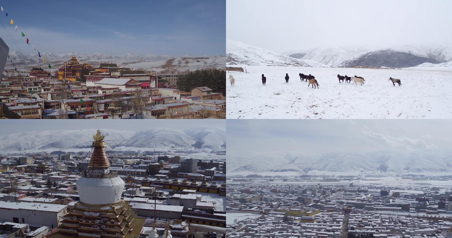 藏族建筑雪原策马奔腾