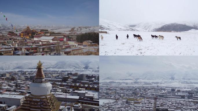 藏族建筑雪原策马奔腾