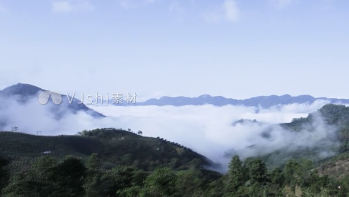 ［原创］西双版纳易武古茶山茶山延时