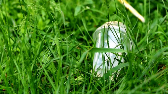 塑料杯扔在树林里的草地上