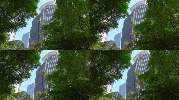 深圳摩天楼视频透过树枝仰拍深圳大中华大楼