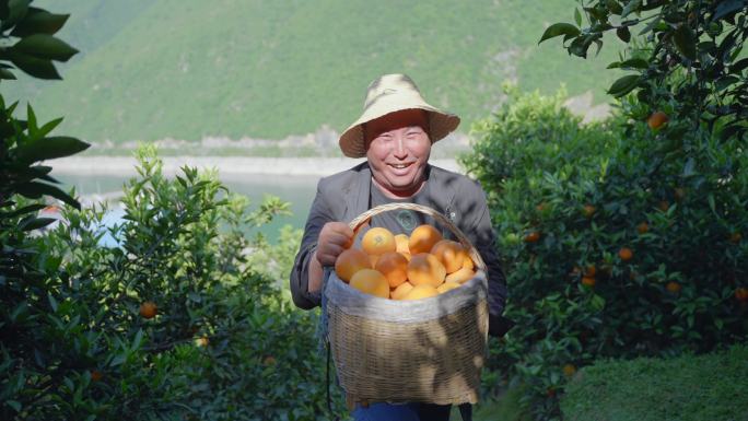 对镜头 微笑 果农 丰收 橙子 水果