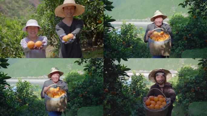对镜头 微笑 果农 丰收 橙子 水果