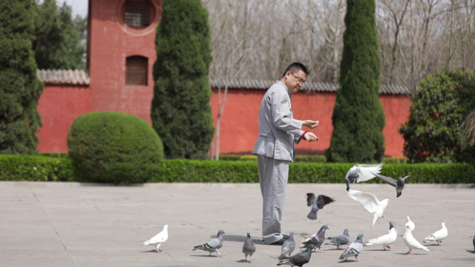 男子寺庙前喂鸽子