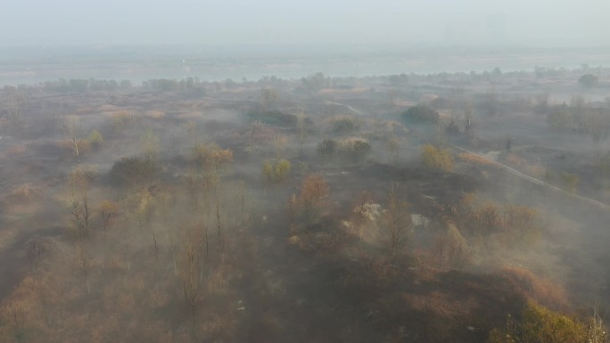 渭河湿地平流雾