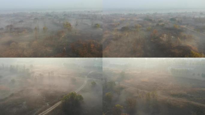 渭河湿地平流雾