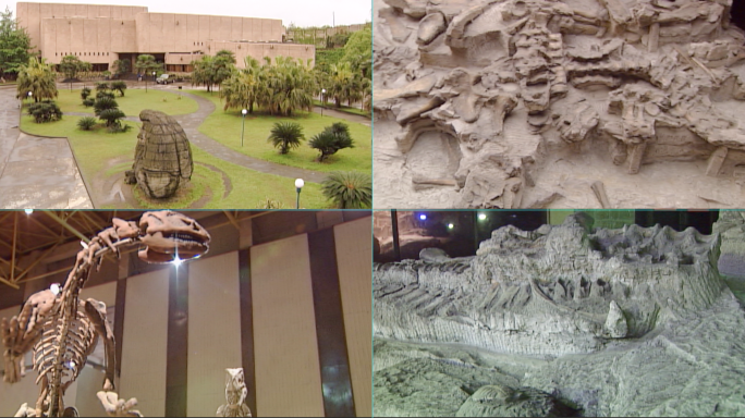 90年代自贡恐龙博物馆素材