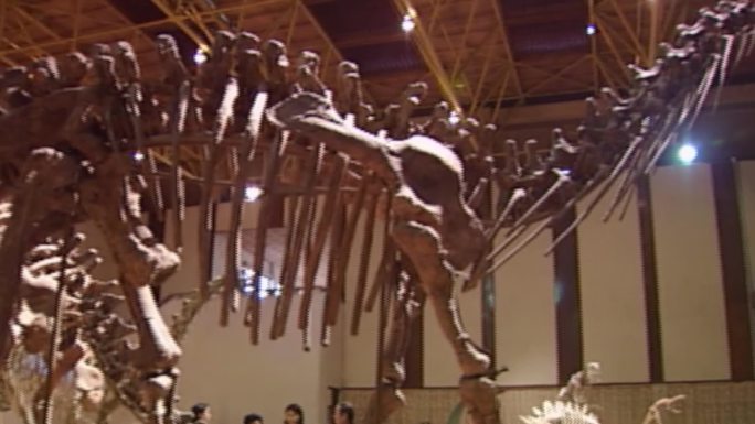 90年代自贡恐龙博物馆素材