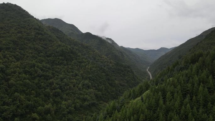 航拍宁夏六盘山老龙潭茂密森林