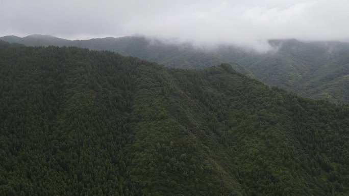 航拍宁夏六盘山森林盘山公路