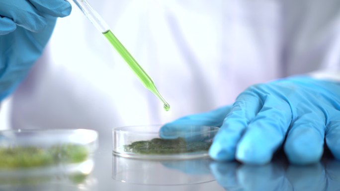 藻类研究科研医疗生命