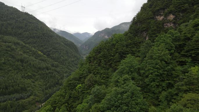 航拍宁夏六盘山老龙潭茂密森林