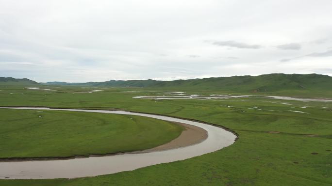 川西阿坝漫泽塘湿地