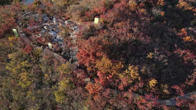 漫山红叶，红叶节航拍