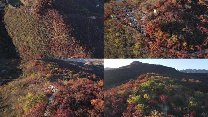 漫山红叶，红叶节航拍