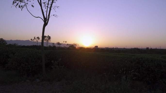 沿路风景 乡村小道 茶园 夕阳 光 自驾