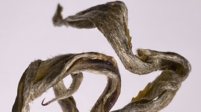 【原创】普洱茶毛茶微距特写