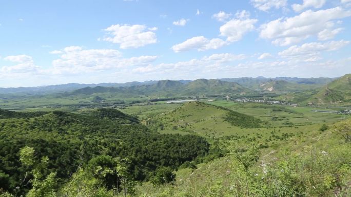 山顶 树林 山丘