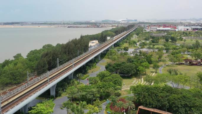 深圳地铁11号线列车经过西湾红树林湿地