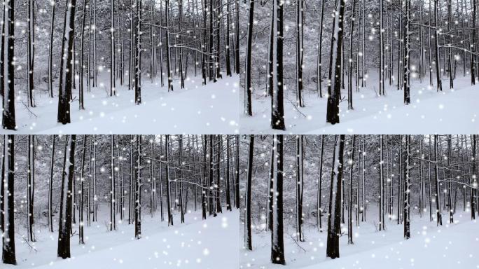 森林大雪