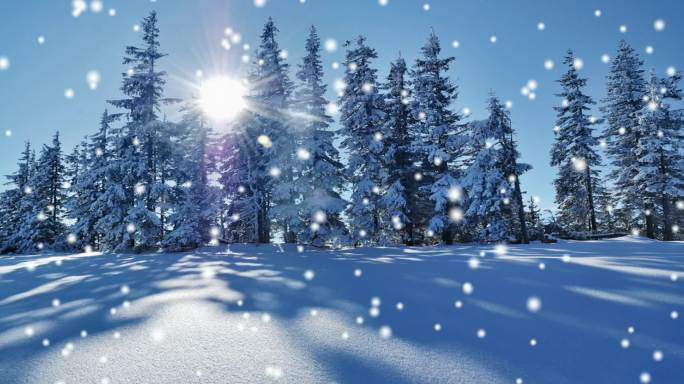 阳光森林雪