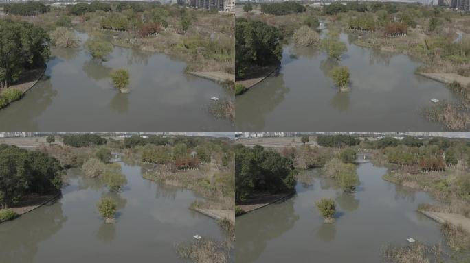 「有版权」航拍LOG3湿地公园4K