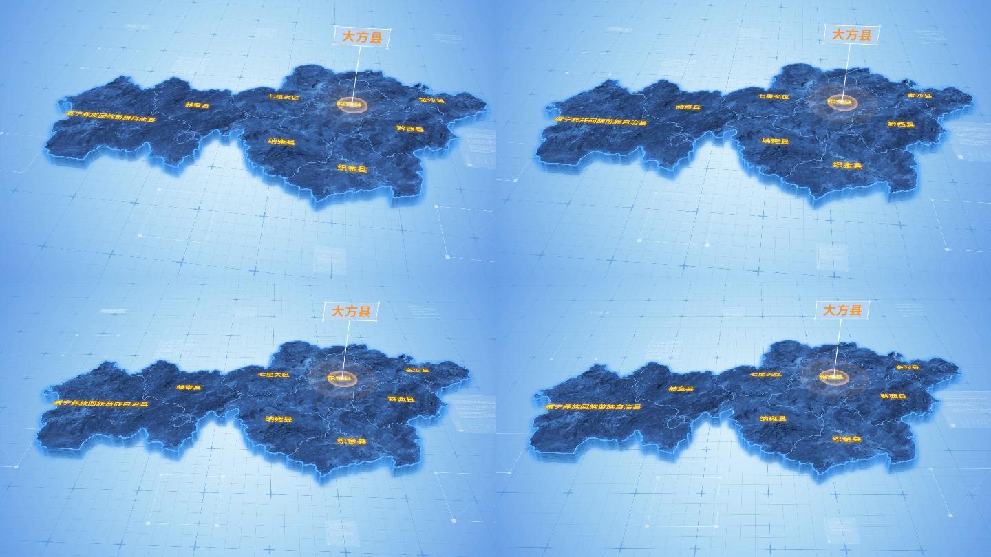 贵州毕节大方县三维科技感地图