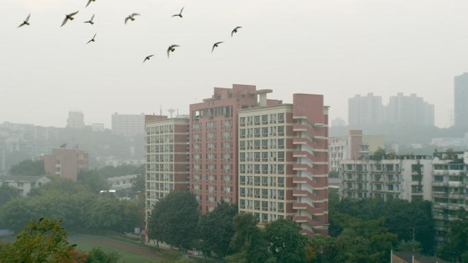 重庆黄桷坪 老美院