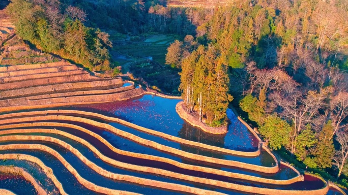 云南元阳梯田清晨航拍