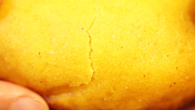 掰开一个干硬的棒子面玉米面饼  (8)
