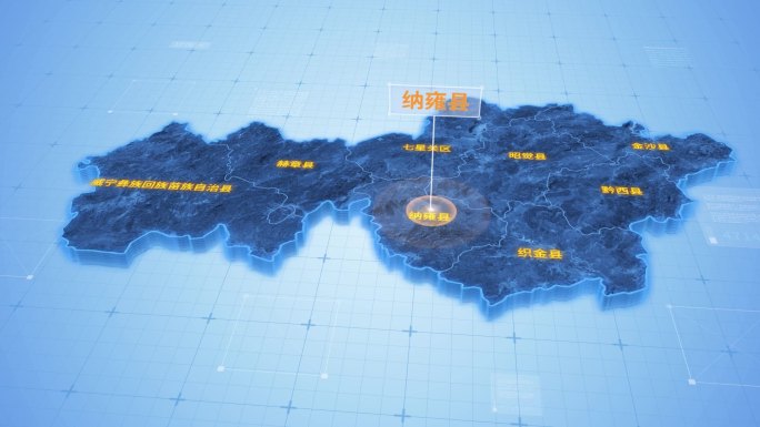 贵州毕节纳雍县三维科技感地图