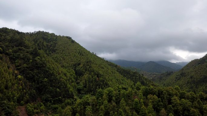 山雨欲来风雨声