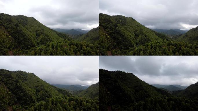 山雨欲来风雨声