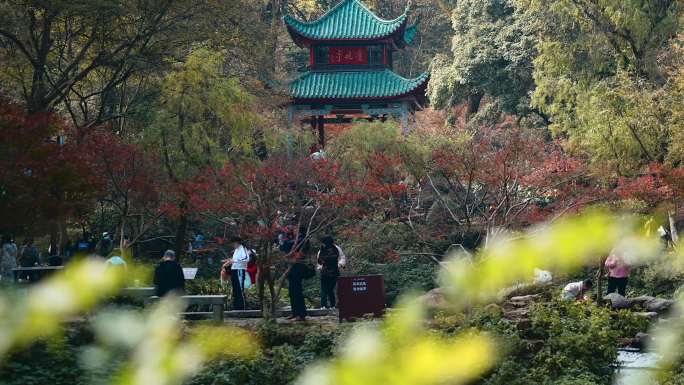 4K长沙岳麓山景区延时空镜头一组