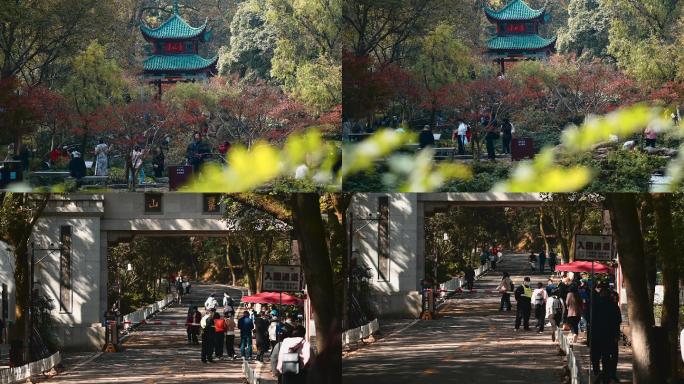 4K长沙岳麓山景区延时空镜头一组