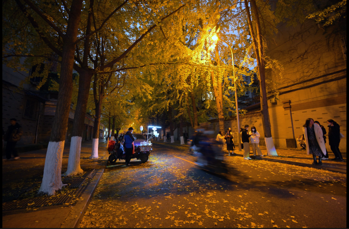 6条成都银杏路地面街拍6K延时夜景合集