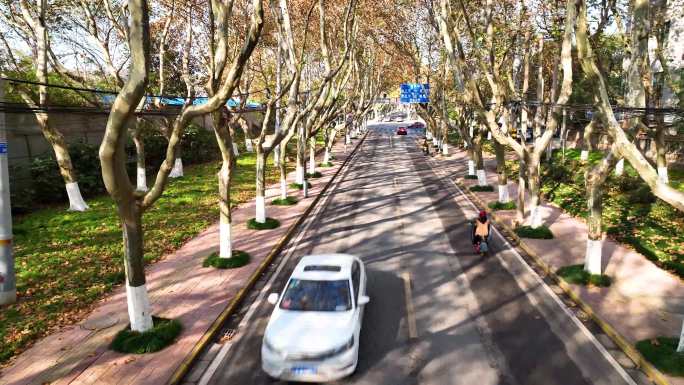 航拍南京江北最美道路太子山路