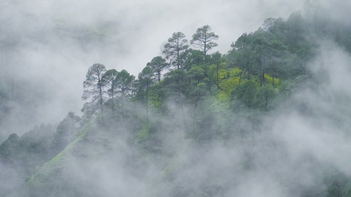 云雾袅绕的群山山脉树木微风